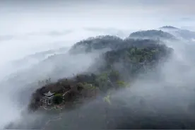 我国千年观鸟胜境——齐山·平天湖图片