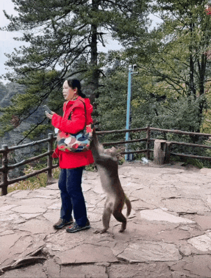 远离禽兽