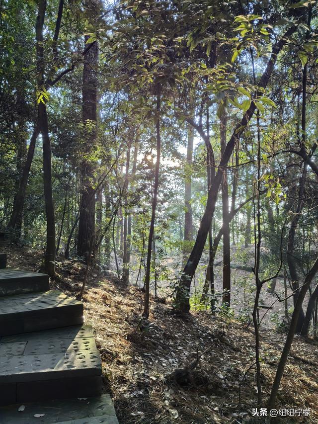 户外徒步之挑战缙云九峰，从健身梯道到狮子峰，走了四小时