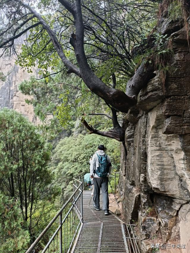 无为在歧路，壶关林州大名府3