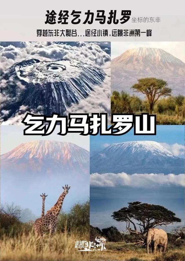 连穿五国，东非Safari！一次前所未至的旅行，人生清单再完成一项