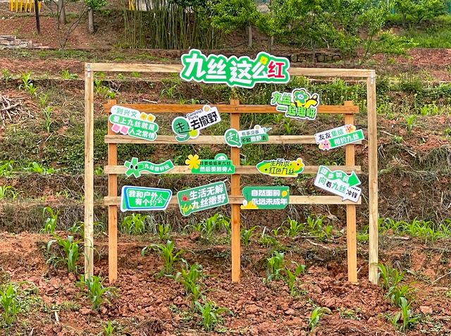 记一个让我魂牵梦绕的地方: 宜宾九丝城镇