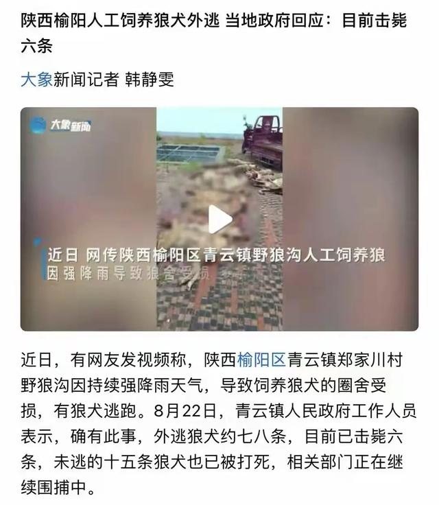 陕西外逃狼犬已被击毙六条，没有逃跑的狼犬也全被打死