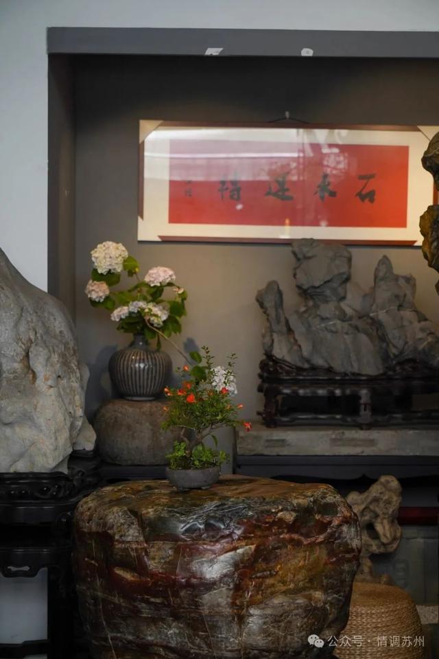 苏州花鸟市场里藏着滚滚红尘