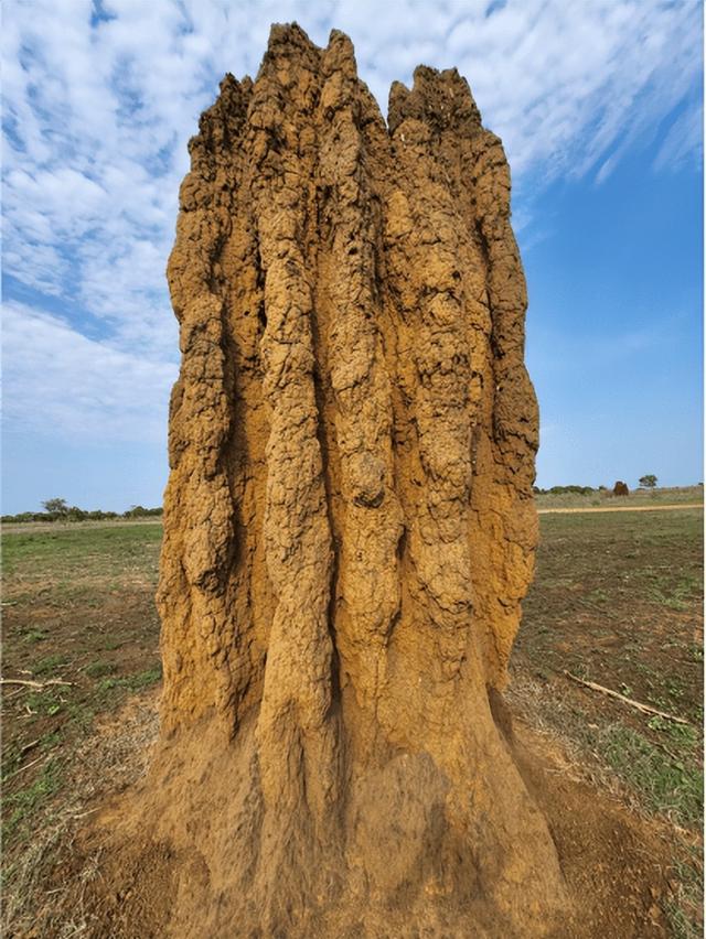 【异域风情】李后强：澳洲的“达尔文金字塔”