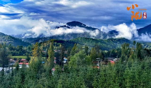 【小陇画报·434期】太子山：深秋画卷与初雪的浪漫邂逅