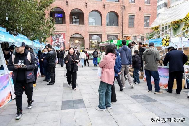 南皮非遗津门绽放 运河风邂逅海河情引热潮