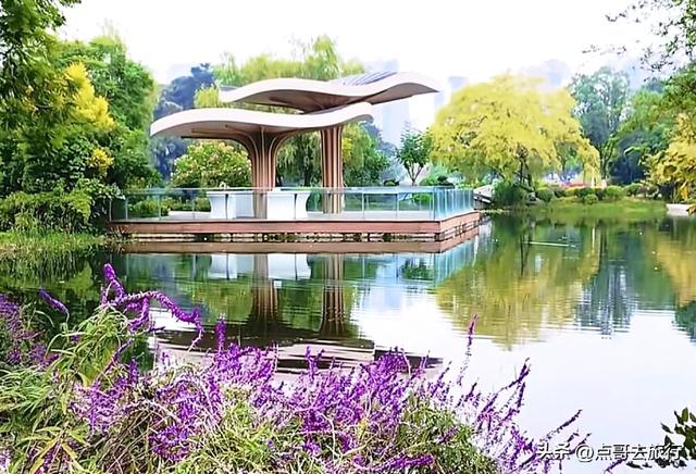 成都主城区最大人工湖，秋天超级惊艳，不要门票，地铁公交直达！