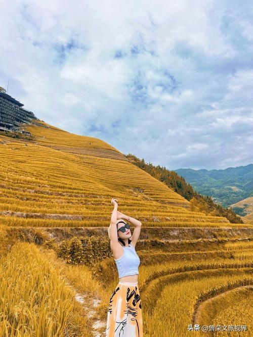 十月龙脊梯田爆火！稻浪美到窒息，这条避堵路线90%的人都不知道