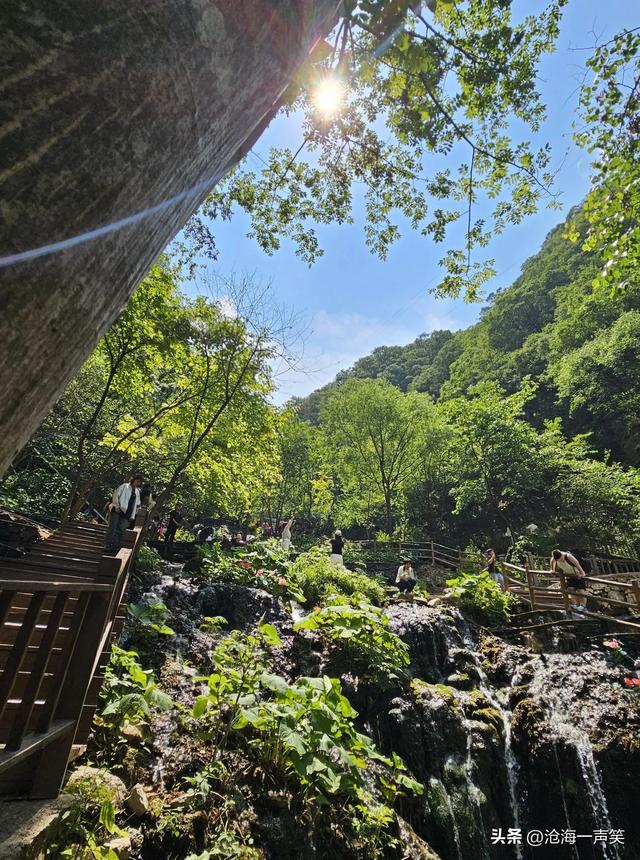 请河南的朋友猜一猜这是哪里的4A级景区，避暑胜地，森林密布