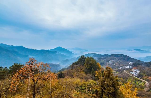 天柱山秋冬“躺平”指南:从红叶滤镜到雪景开挂,懒人也能封神