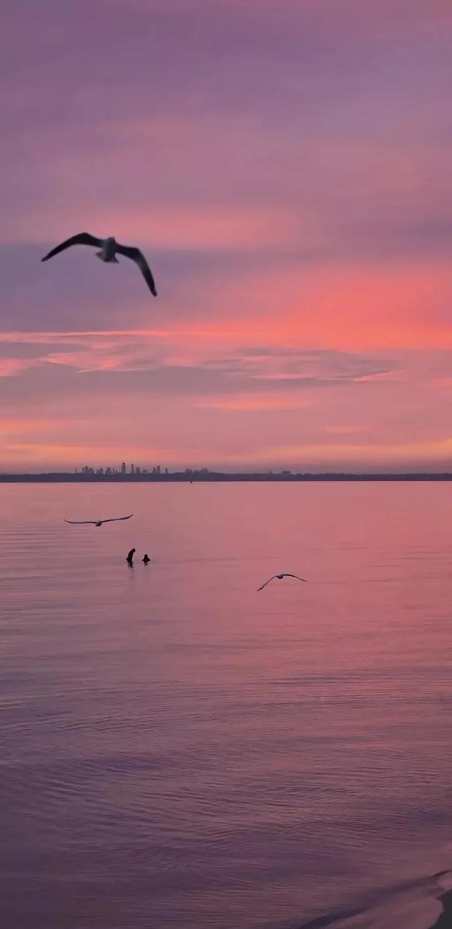 #治愈系 #日出美景 #海边日出