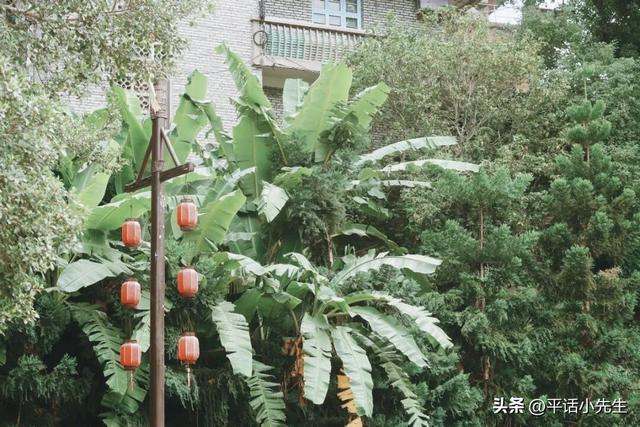 福建第一门户，应识古镇旧模样丨暴走福州