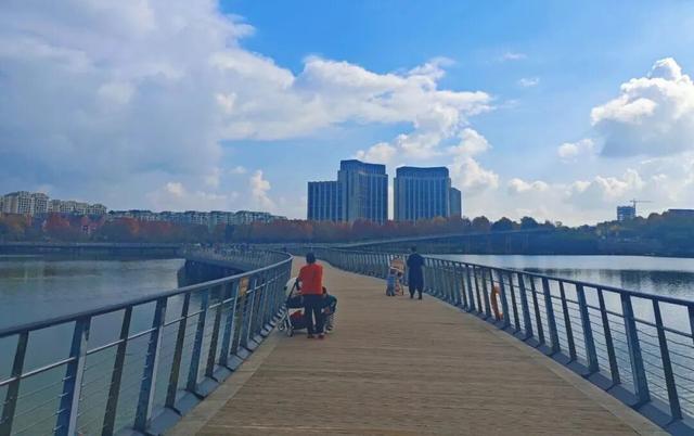 值此红黄，新蒲初冬画卷已打开！