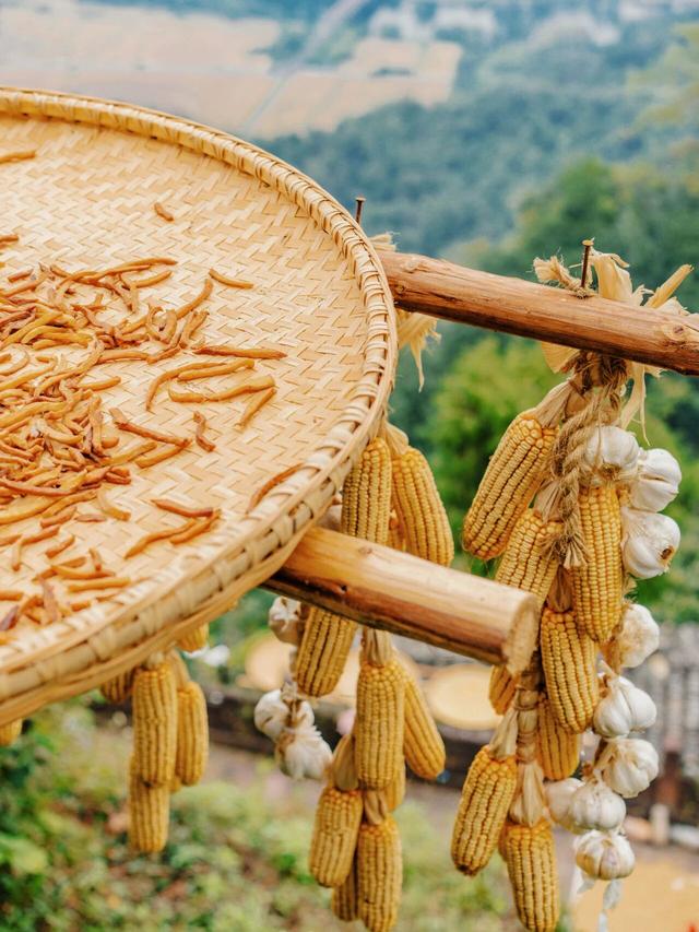 秋假搭配松弛感，齐云山的秋天有亿点不一样 | 皖美冬日 | 第十五届安徽国际文化旅游节