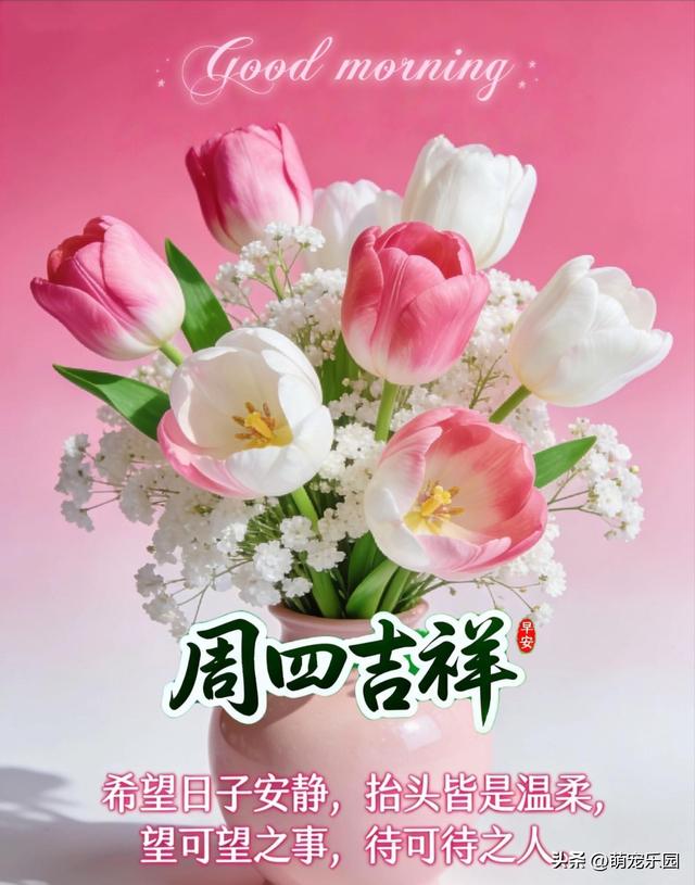 冬日清晨光线钻窗缝，那份温暖轻抚心房	，让光明走进你的世界