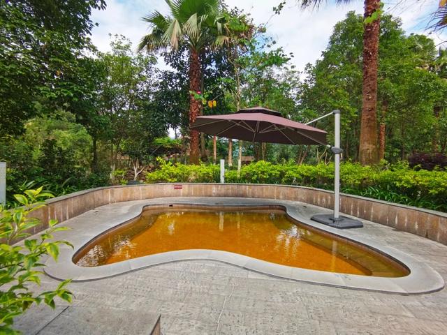 年假清零倒计时，该出发了！把最后几天留给韶关的彩林山水