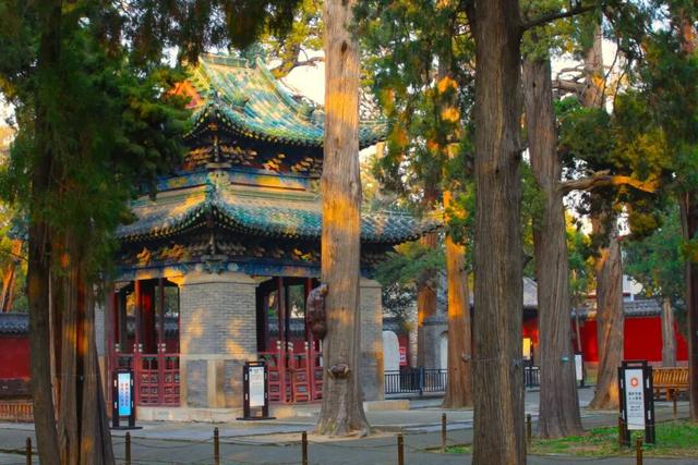 7元的火车票能当40元用？可以！