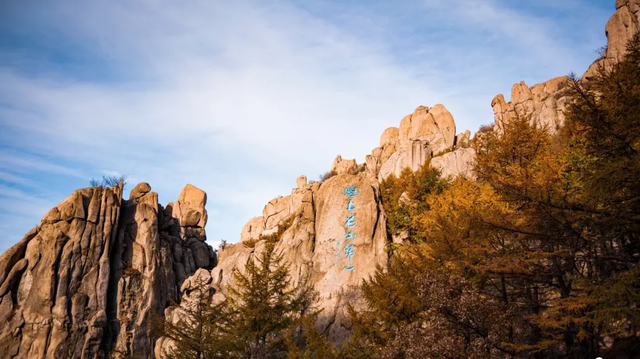 听说，山东的山最近变得「毛茸茸」？