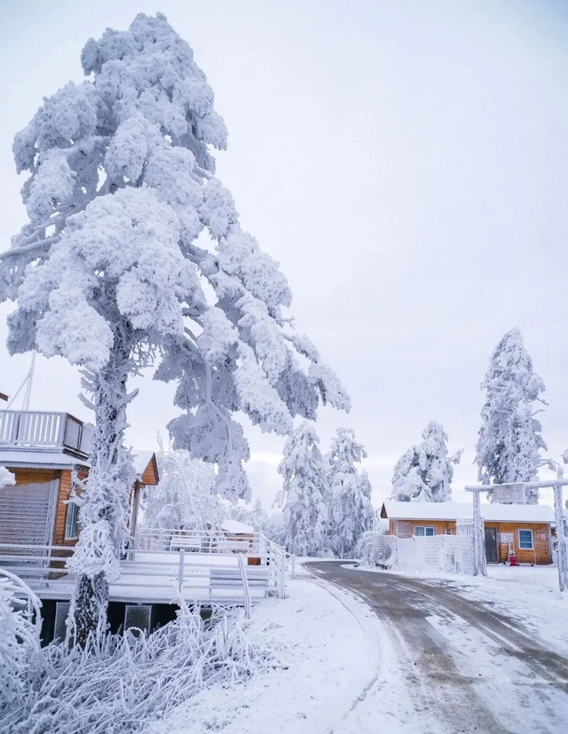 【雪景预告】看雪不必出远门！雅安的冬天超超超美！