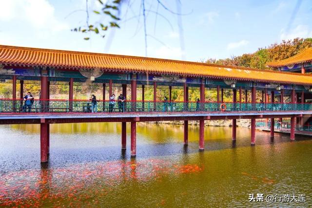 色彩峰值~走进横山公园“枫”景大片！