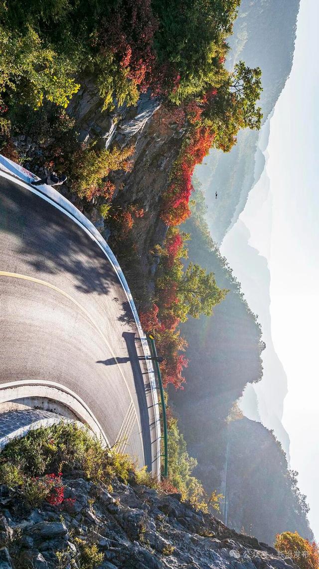 寻色三晋·山河入画｜太行一号旅游公路：在红叶云海间，驶入秋日的山水长卷