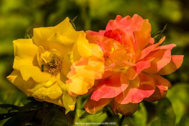 情感爆文《在感情的世界里，懂比爱重要》