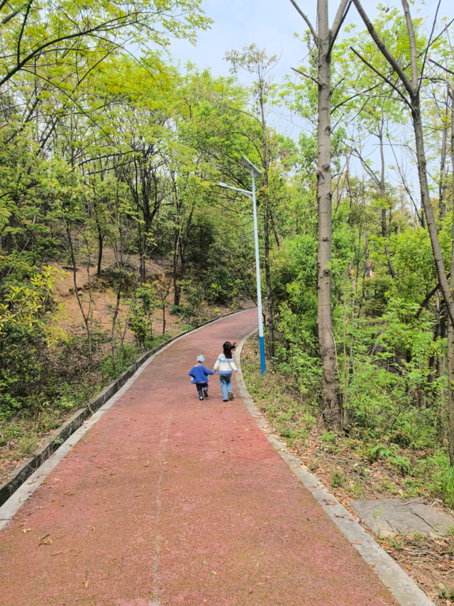 长沙5条亲子徒步“小秘境”路线，带娃坚持每周一山→