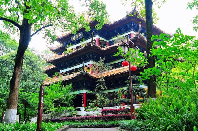 我是海南人去了宜宾和泸州，直言不讳：宜宾跟泸州天差地别！