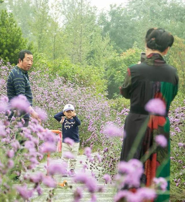 打卡家门口的公园丨藏不住的天然氧吧