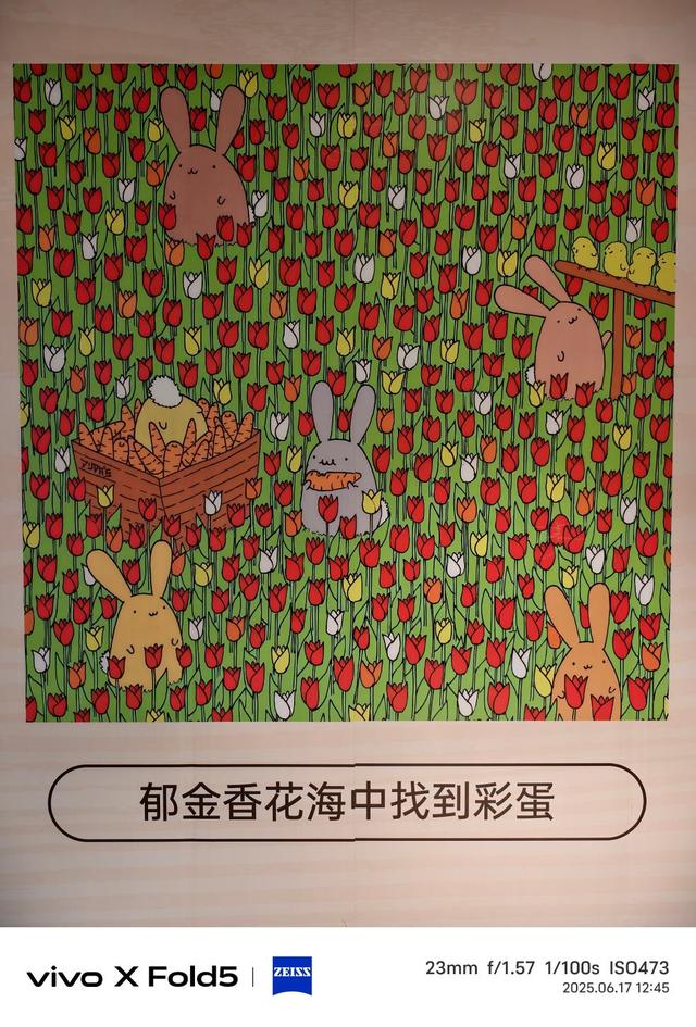 vivo X Fold5评测：苹果的好搭子