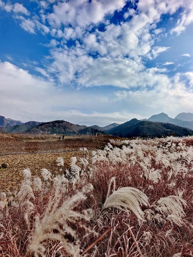 西安周末好去处——初冬8处宝藏公园免费又好玩！