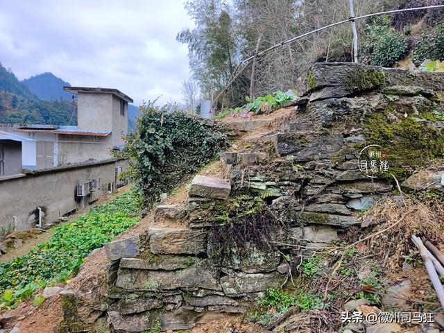 【行走徽州244】岔口：王茂荫、许球都曾在此求学，大洲源核心区