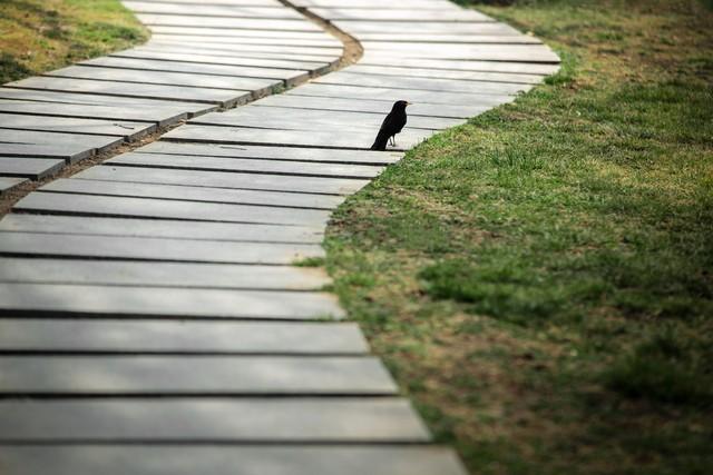 女人彻底心寒后，为何不离开？