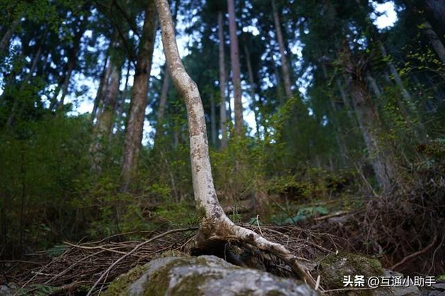 高品质成像：大光圈变焦镜头腾龙 35-150mm F/2-2.8 Di III VXD 评测