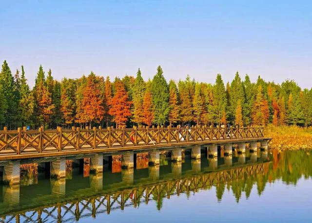 刚拍下!洛阳这个大型公园美爆了