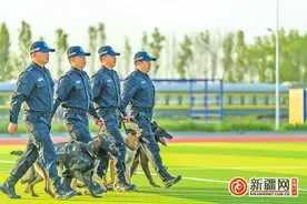乌鲁木齐铁路公安处警犬工作队获评“2023年全国警犬技术工作成绩突出集体” 揭秘“神犬奇兵”进阶路图片