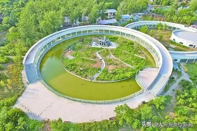 看焦作群星演唱会，享A级景区宠粉大礼包！