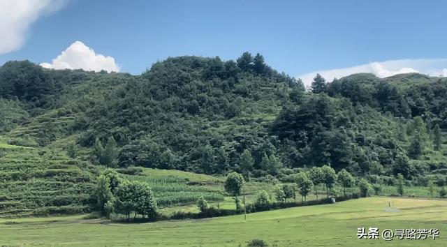 夏日静享阿西里西大草原的那份清凉时光