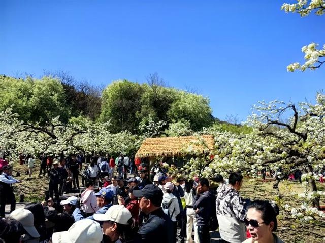 年中经济观察丨展开文化兴体育强旅游火消费旺百姓乐美丽画卷