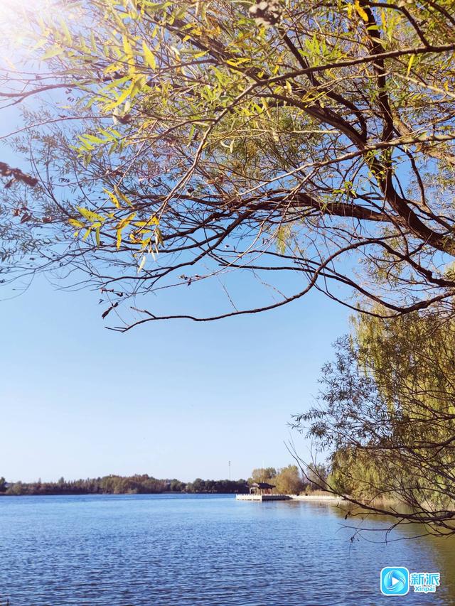 潍坊白浪河畔秋韵浓
