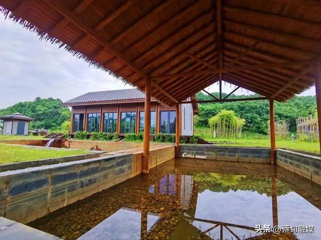 向“绿”而兴 激活高质量发展“绿色引擎” 蔡甸区加快建设人与自然和谐共生的美丽之城