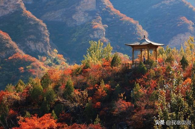 北京叶正红，不止香山，还有这几个。