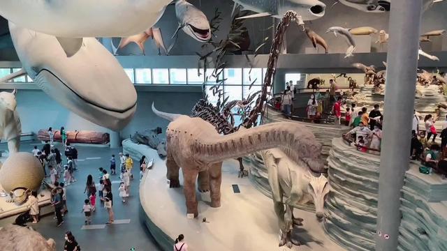 带孩子逛几个小时博物馆，啥都没记住？分享四招“有效参观”