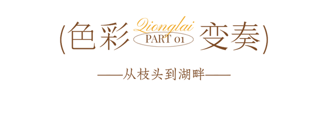 冬崃｜在泉水湖湿地公园，收藏整个冬天的浪漫与生机~