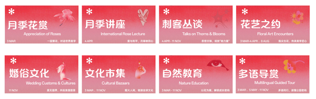 2026深圳国际月季文化年，精彩不打烊！