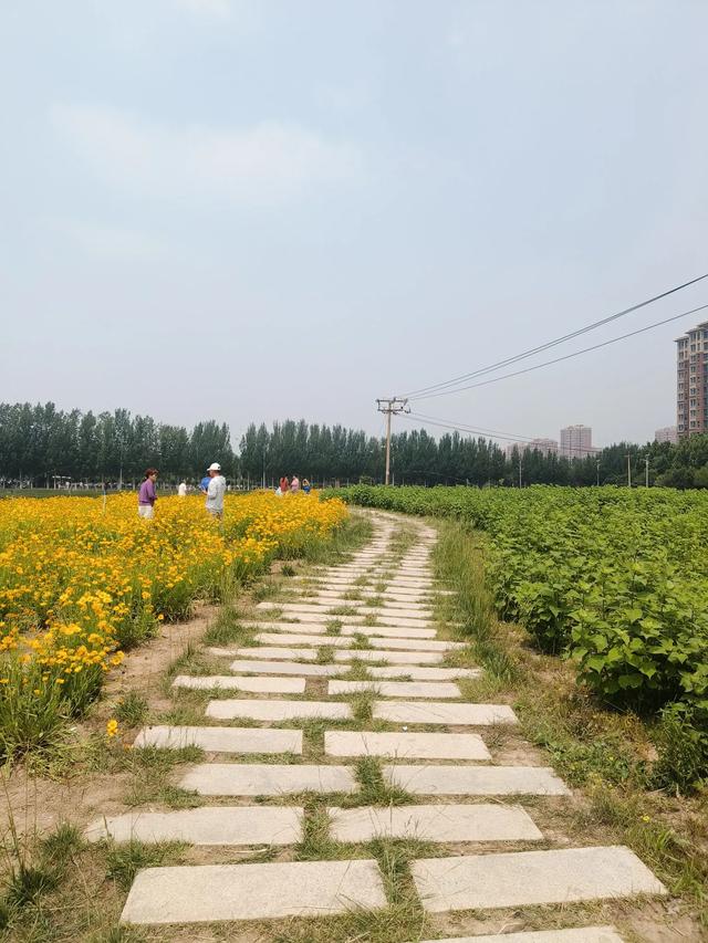 天津又一新建的公园~《山水花苑》