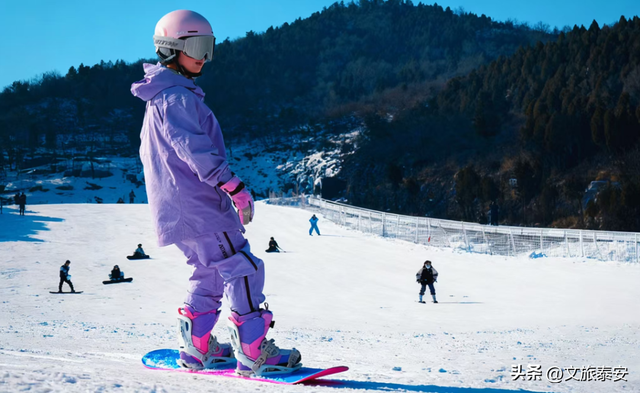 洛阳宝宝冲！四条线路解锁“一山一圣”的新玩法，朋友圈从洛阳卷到山东！