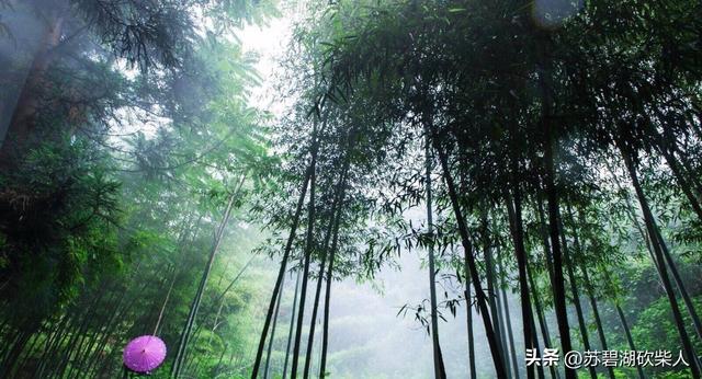 竹海深幽处：大洞游记
