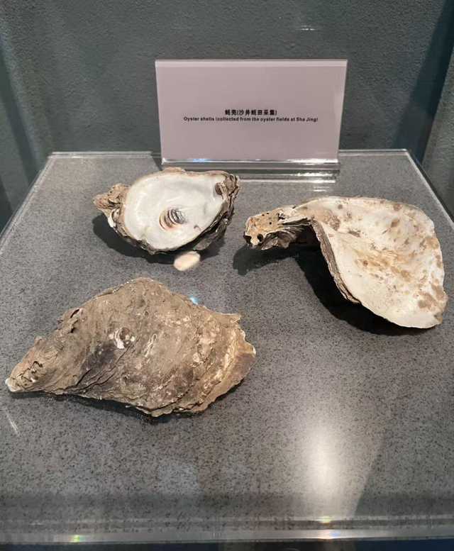 “最不怕被盗”！深圳博物馆火上热搜，网友：这个展品我家也有